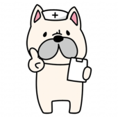 ナースキャップをかぶってアドバイスするフレンチブルドッグ