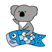 鯉のぼりにまたがるコアラ