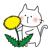 大きなタンポポと白い猫