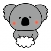 手を洗うコアラ