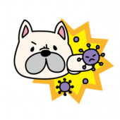 ウイルスをパンチするフレンチブルドッグ