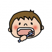 左上の奥歯を歯磨きする子供（男の子）