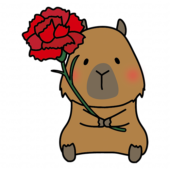 大きなカーネーションを持っているカピバラ