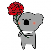 大きなカーネーションを持っているコアラ