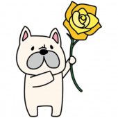 黄色い大きなバラを持っているフレンチブルドッグ