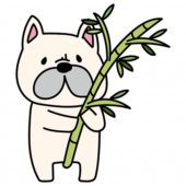 七夕の笹を準備するフレンチブルドッグ