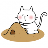 砂場で砂遊びをする白い猫