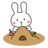 砂場で砂遊びをする白いうさぎ