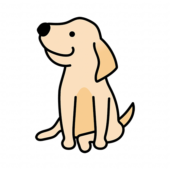 上を見上げるたれ耳わんちゃん