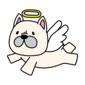 飛んでいる天使の格好をしたフレンチブルドッグ