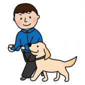 男性ドッグトレーナーとヒールウォークの練習をするたれ耳わんちゃん