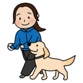 女性ドッグトレーナーとヒールウォークの練習をするたれ耳わんちゃん