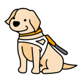 たれ耳の盲導犬