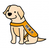 たれ耳の聴導犬