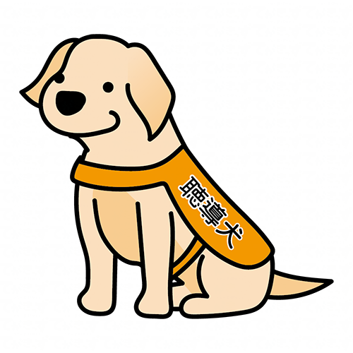 たれ耳の聴導犬