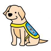 たれ耳の介助犬