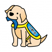 靴下を持ってくるたれ耳の介助犬