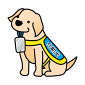 携帯電話を持ってくるたれ耳の介助犬