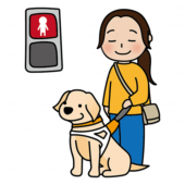 赤信号で止まるたれ耳の盲導犬