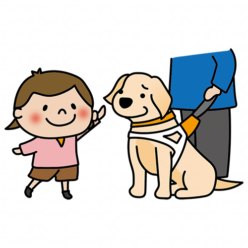 触られるのを嫌がるたれ耳の盲導犬