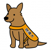 立ち耳の聴導犬