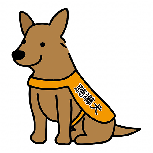 立ち耳の聴導犬