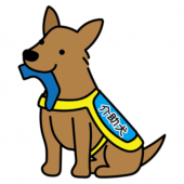 靴下を持ってくる立ち耳の介助犬