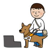 段差の前で立ち止まる立ち耳の盲導犬
