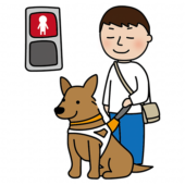 赤信号で止まる立ち耳の盲導犬