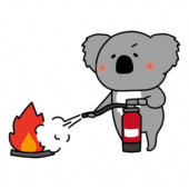 消火器を使って消火の練習をするコアラ