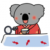 赤い浴衣を着て金魚すくいをするコアラ