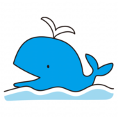 水面から顔を出すクジラ