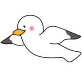 飛ぶカモメ1