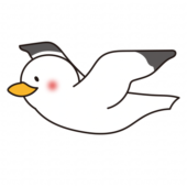 飛ぶカモメ2