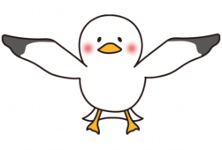 飛ぶカモメ3