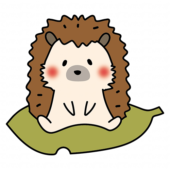 大きな落ち葉に乗るハリネズミ